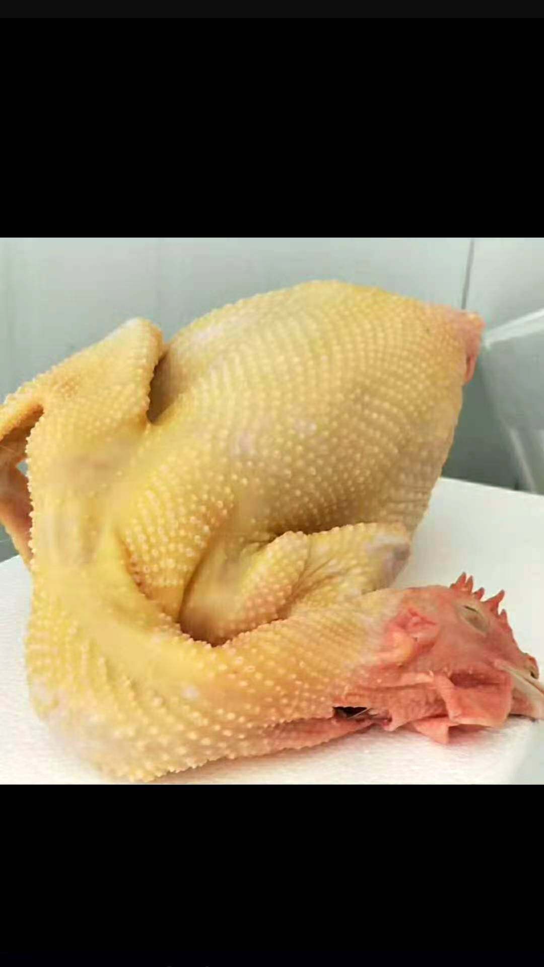 正宗长汀河田鸡生鲜小母鸡老母母鸡真空真空包包装整鸡