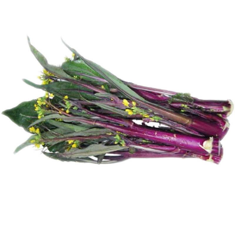 武汉菜心种菜农家紫菜5斤特产湖北洪山菜苔其它