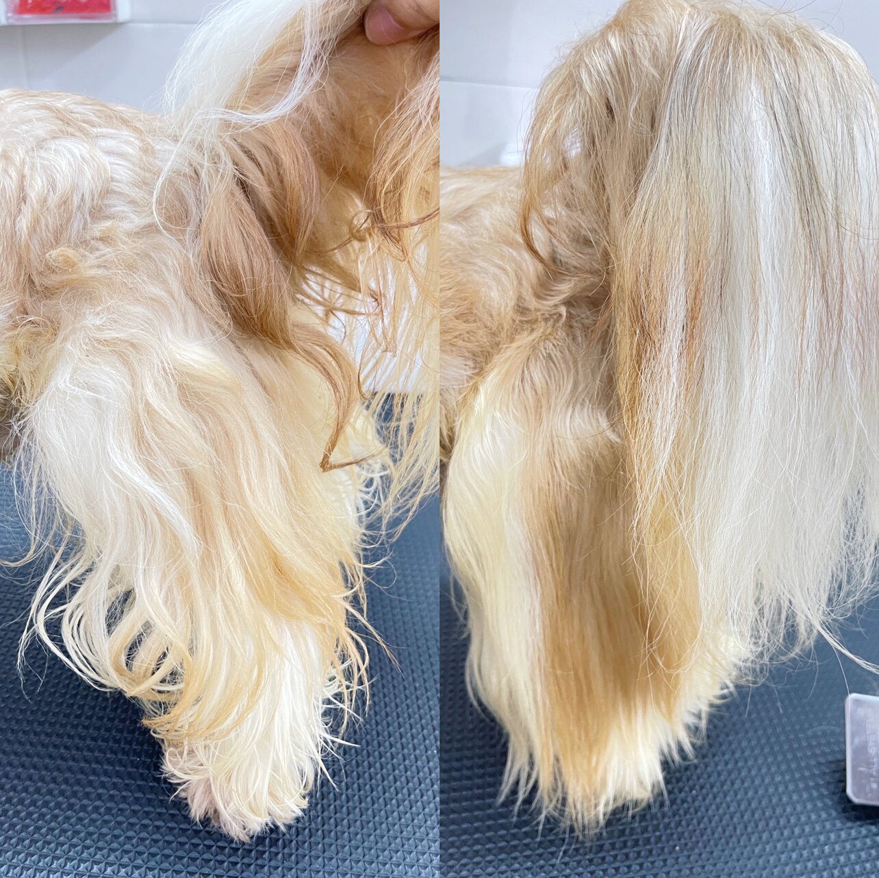 美容喷雾狗狗毛发护理修复复美毛护毛顺毛开结狗香波浴液