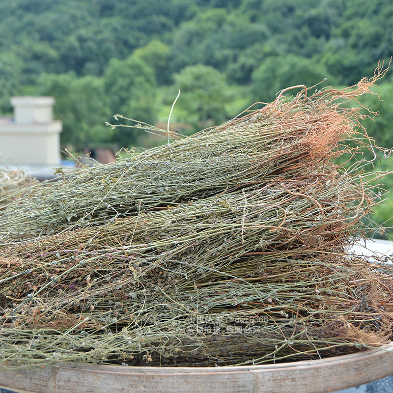 田基黄野生500g寸金地耳草农家自晒无硫草药整棵带根药材散装正品
