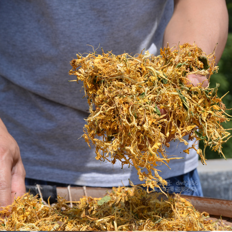 野生金银花药材500g广东凉茶草药花草泡茶清热金银花