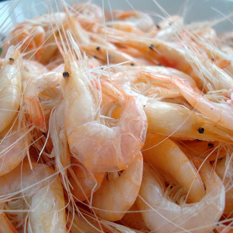 宁波特产海鲜水产野生新鲜腌制咸潮虾咸烤明其它