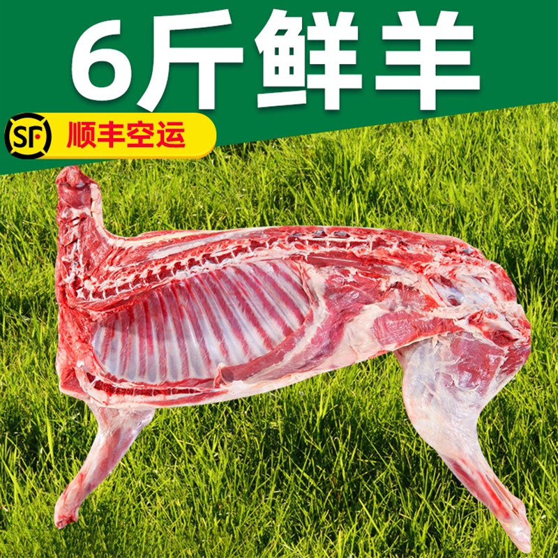 羊肉新鲜现杀6斤手把肉内内蒙古锡林浩特活羊生生羊肉