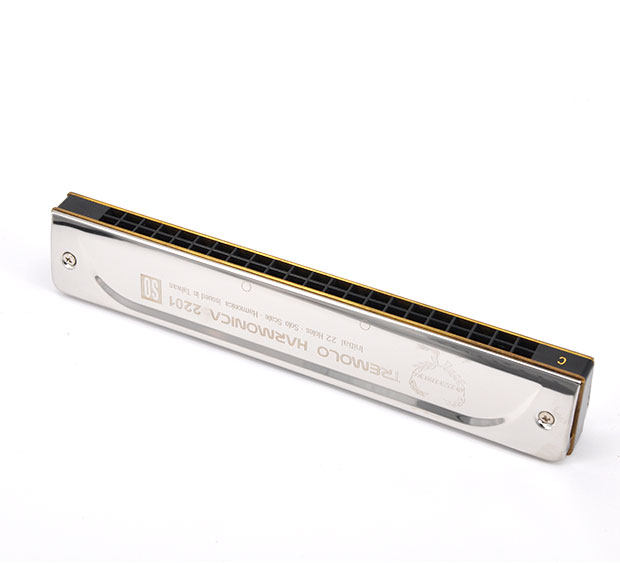 台湾威森2201复音口琴学生高级22孔超越24孔口琴