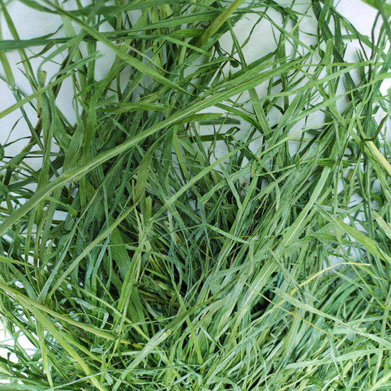 20年烘干摩西草箱毛重1kg提木西草干草牧草兔兔干草