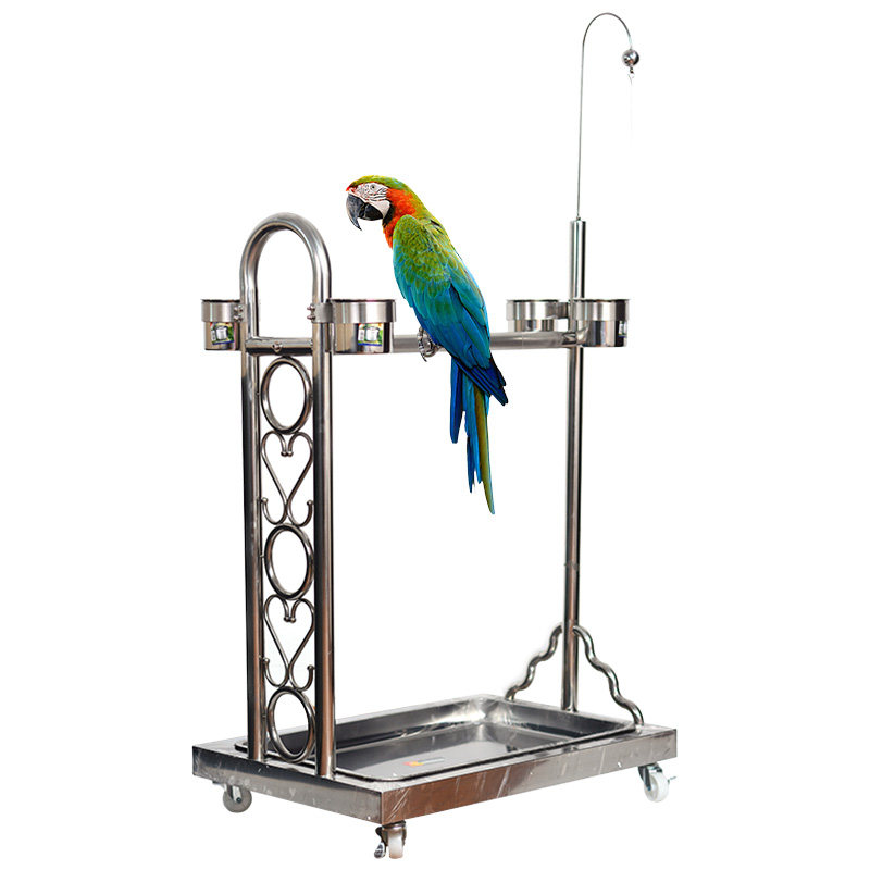 鹦鹉中大型不锈钢高品质鸟儿站架折衷玄凤架子其他