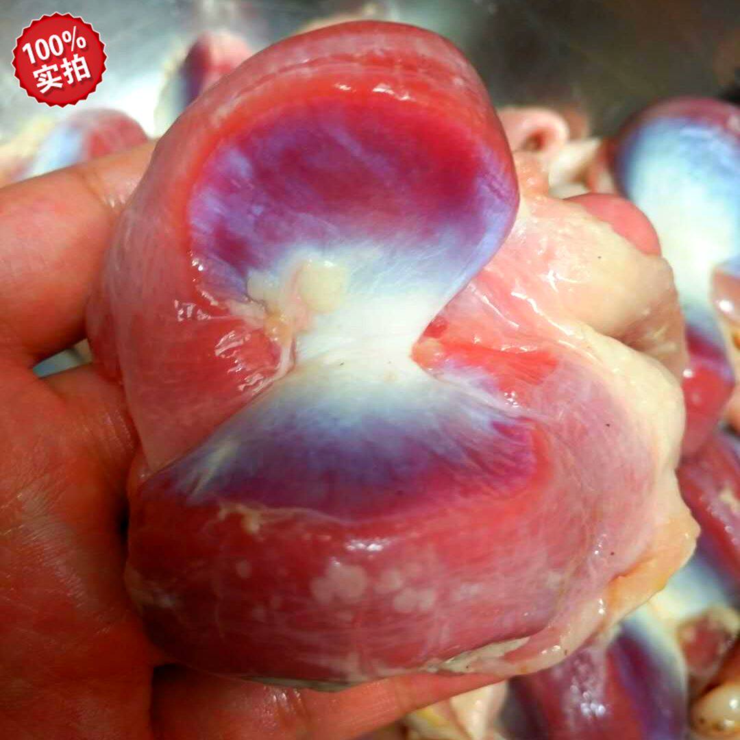 新鲜鸭胗生鲜冷冻鸭肫鸭菌鸭子带鸭食管火锅鸭肉