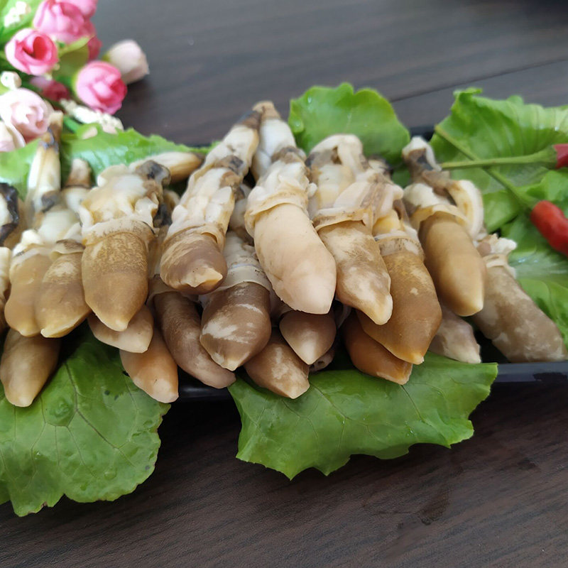 蛏王野生竹节鲜活速冻海鲜冷冻水产大蛏圣子蛏子