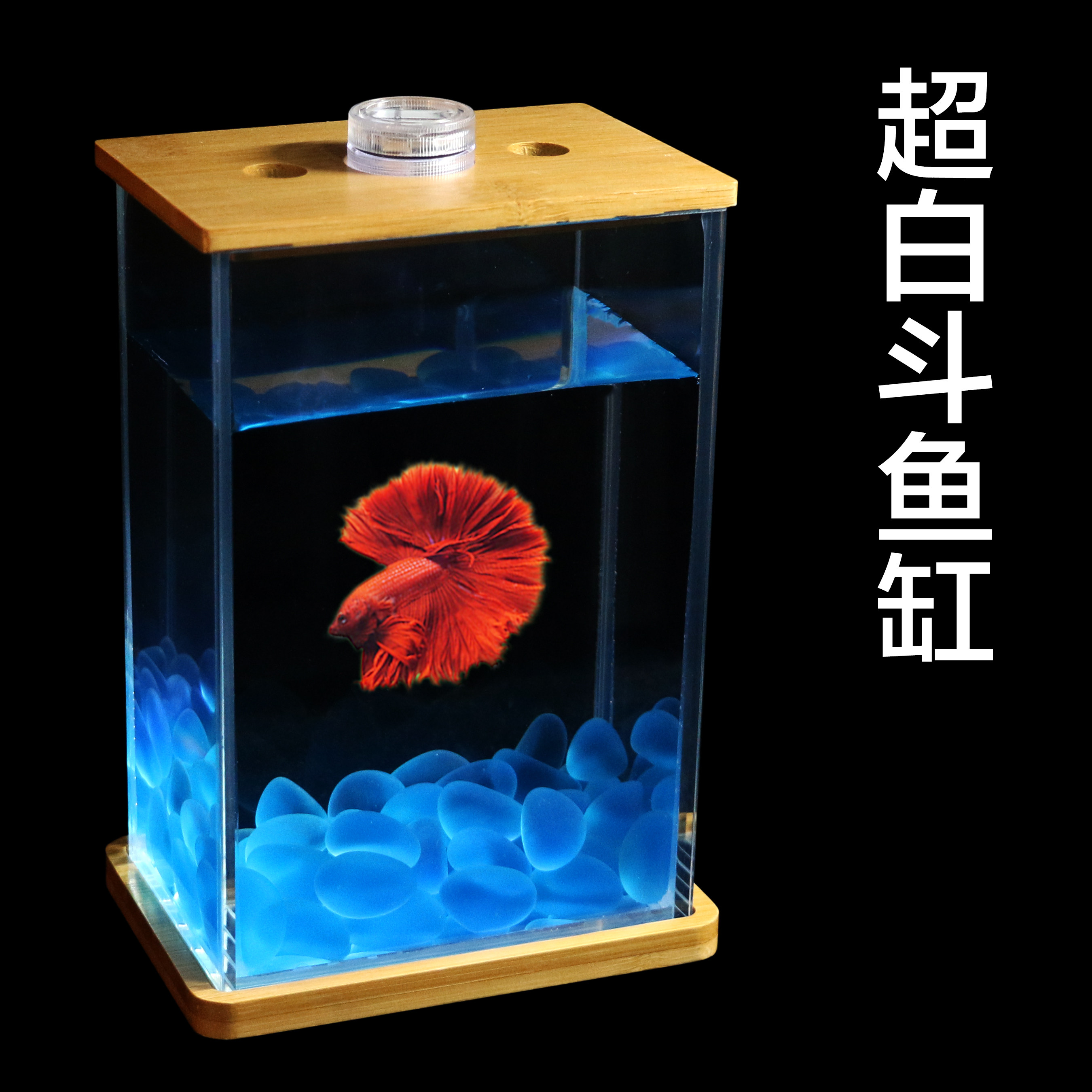 首页 下载app                          泰国斗鱼鱼缸方形迷你超白