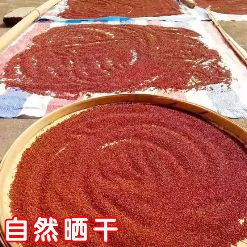 粟米广西龙爪铲子粟粉米粒拳头鸭脚自种农家面粉