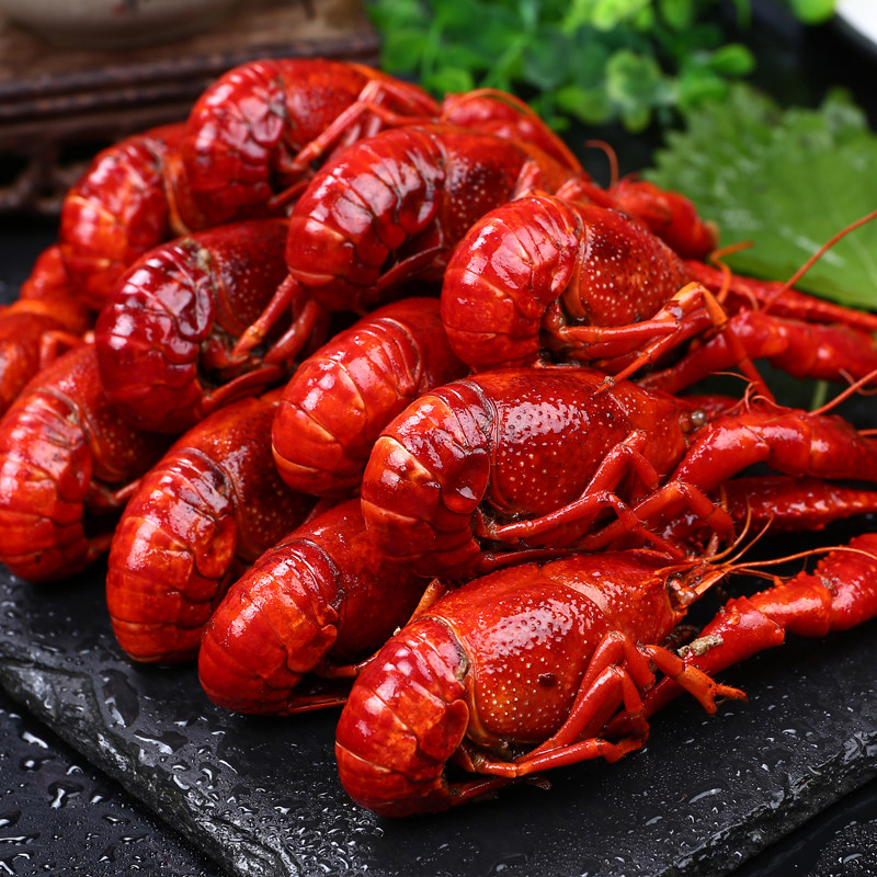 江苏洪泽湖清水小龙虾淡水龙虾蒜泥冷冻熟食净重1.6斤7-9钱