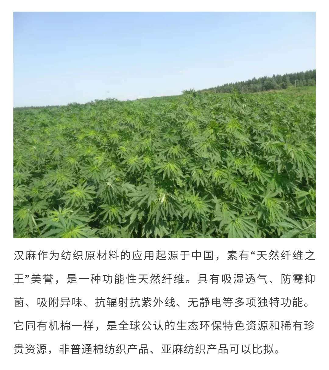 100%纯汉麻湿纺大亚麻床单夏季宝宝婴幼儿儿童婴童凉席系列