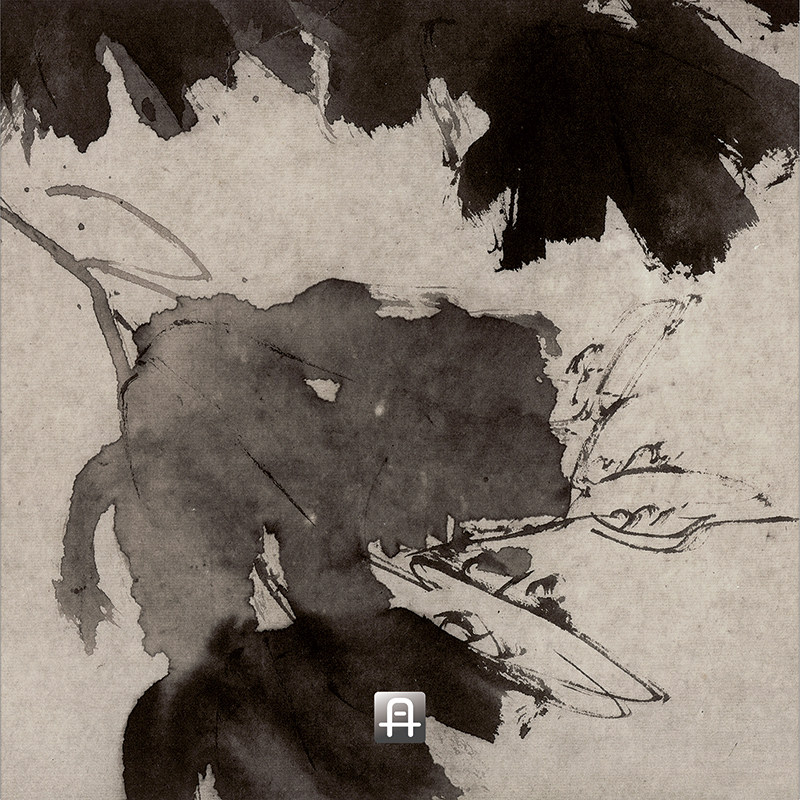 徐渭青藤真迹杂花真正超清复制花鸟国画挂画国画