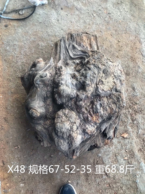 东北琥珀木原木料松明子沉化老料北沉香雕刻练手树根树瘤树包摆件