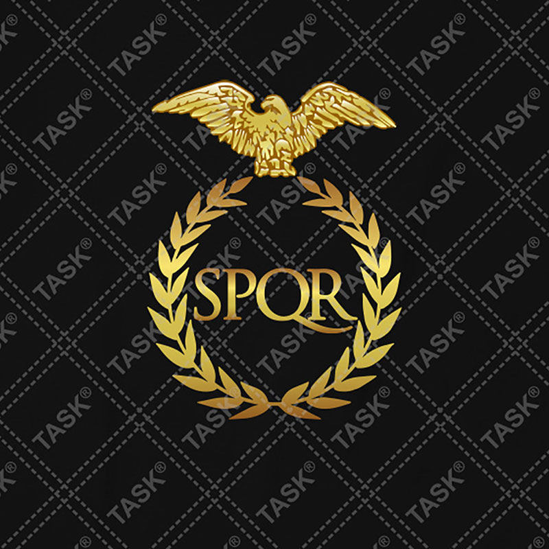 罗马帝国军团spqr文明旗帜标志短袖男女历史衣服t恤