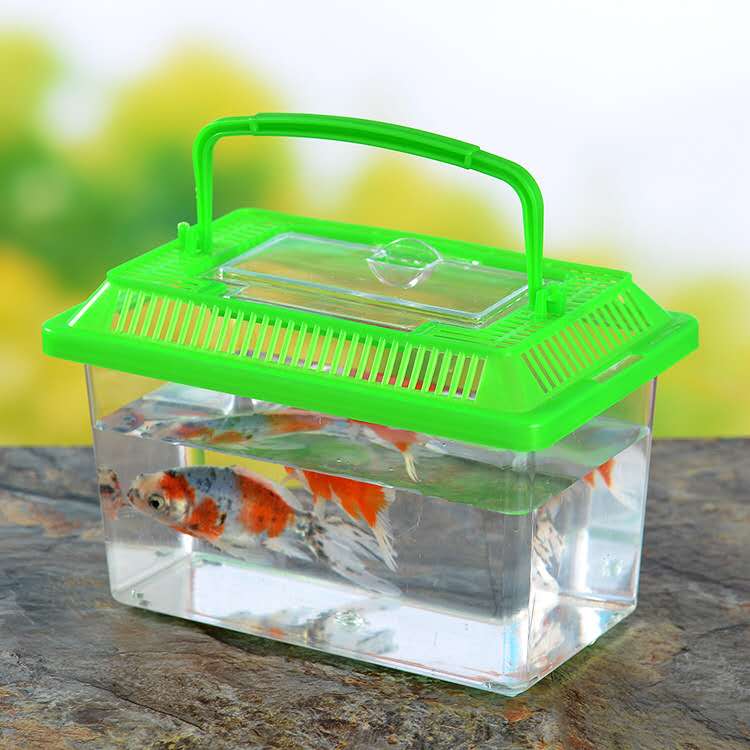塑料饲养小鱼鱼缸小龟缸水族斗鱼乌龟螃蟹生态瓶