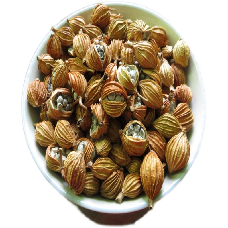 草果干果农家晾晒自然鲜果黄皮二代新货装砂砂仁