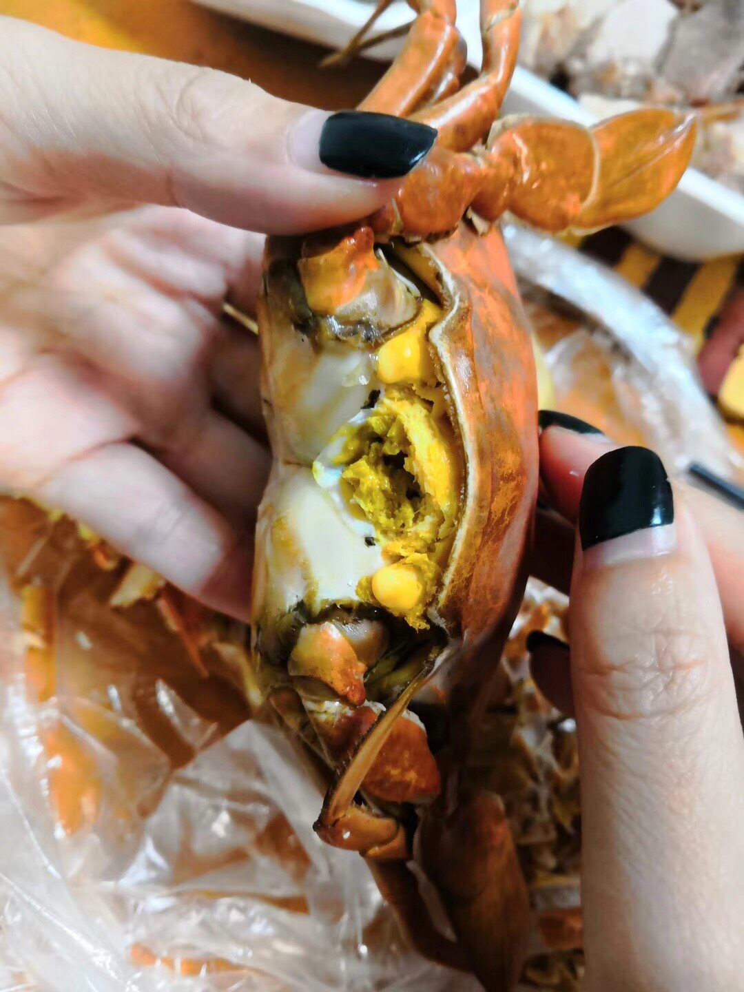 黄油蟹鲜活 正宗广东海鲜特产一级青蟹 包活包邮海螃蟹500克顺丰