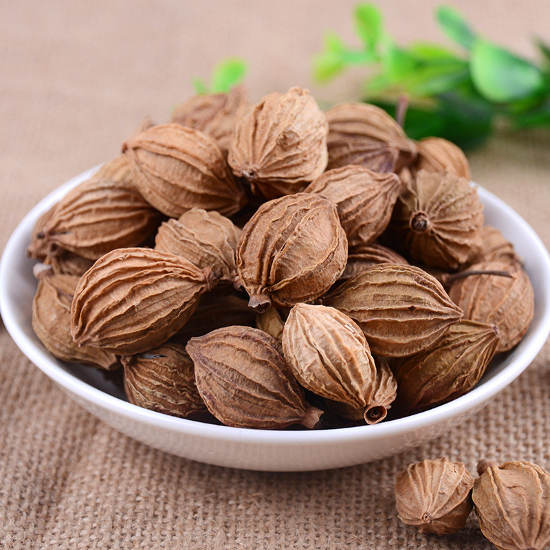 香砂50克金砂仁烧菜卤水火锅麻辣烫佐料香料调料花椒