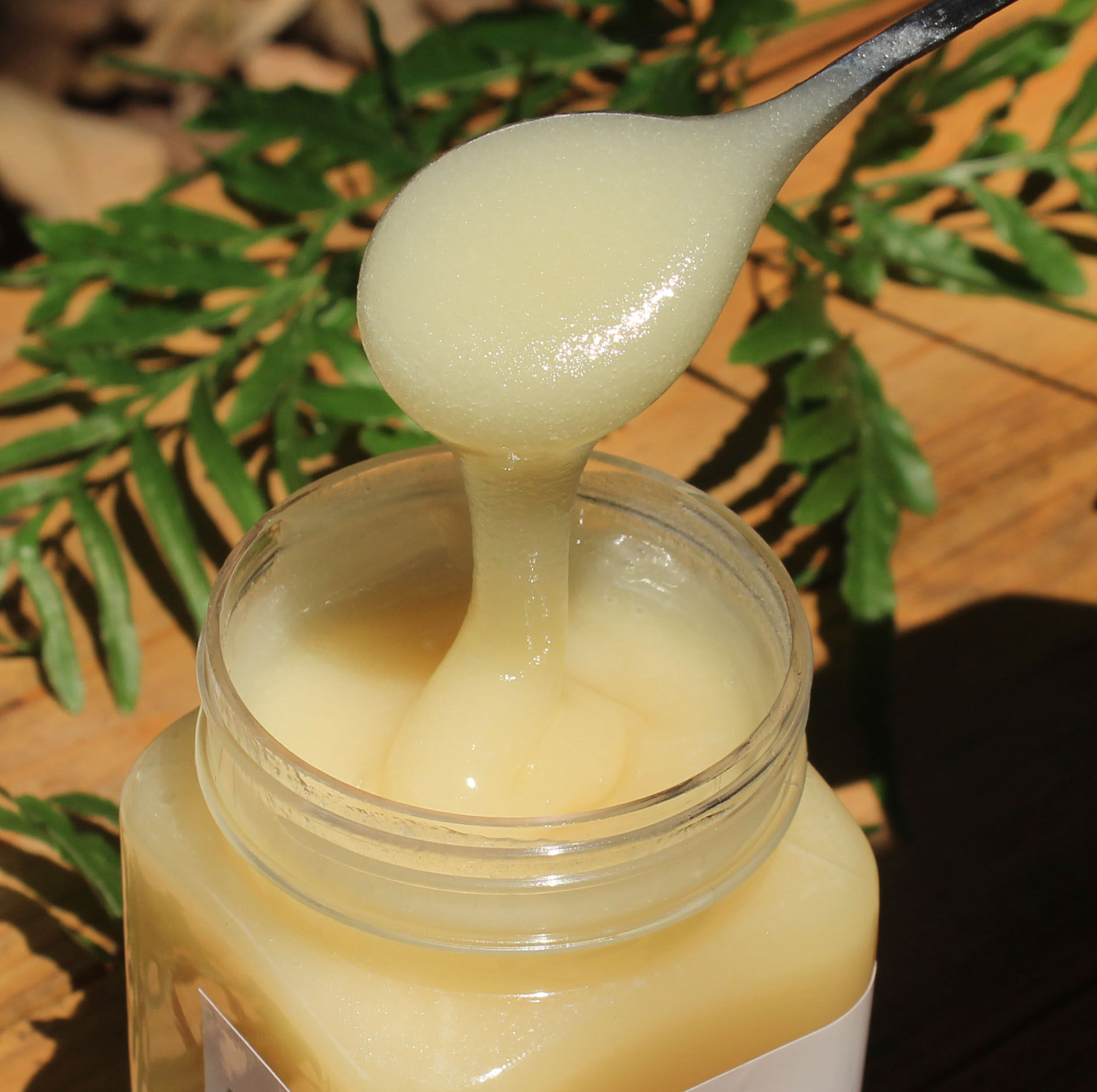 野桂花蜜500g成熟结晶深山自产纯正天然野生冬桂蜜卖蜂蜜的小蜜蜂