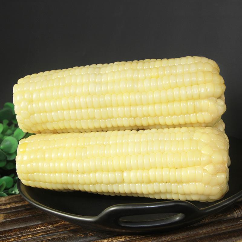 【送2根共12根6斤】待见甜糯白玉米山西农家新鲜甜嫩苞米粗粮早餐