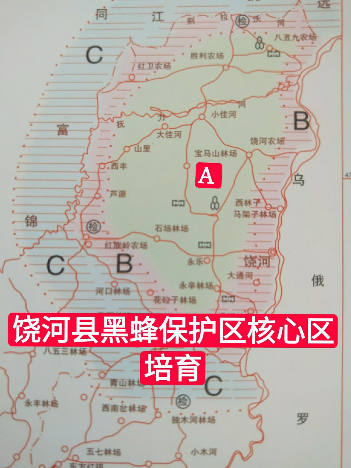 饶河县详细地图图片