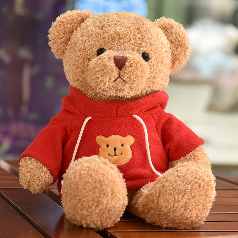可爱卫衣小熊公仔穿衣泰迪熊毛绒玩具抱抱熊玩偶布娃娃送女生礼物
