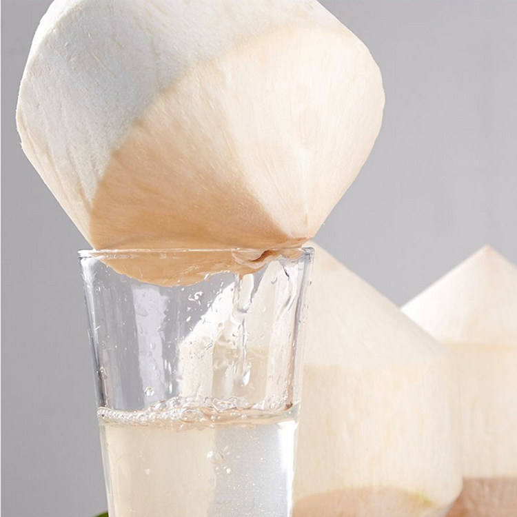 泰国香水椰青大果9只椰子椰皇当季孕妇水果椰青