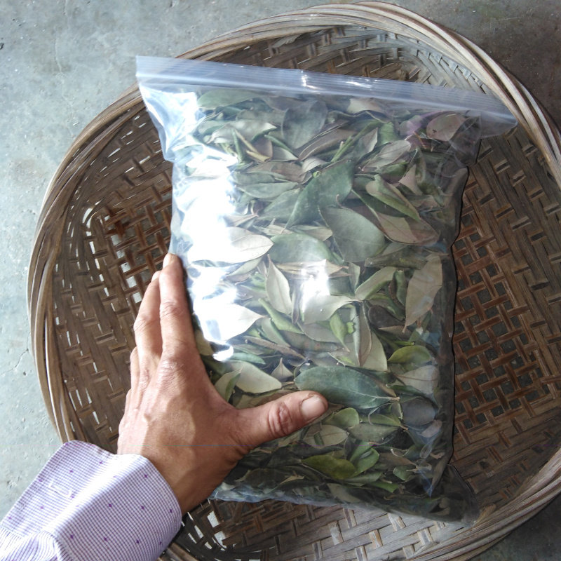 潮汕草药 野生桃金娘叶子 山捻子叶 岗稔叶 乌当尼叶 干货1斤包邮