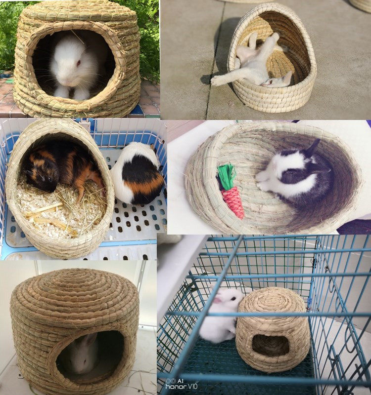 仓鼠鼠窝保暖松鼠荷兰豚鼠刺猬兔子窝宠物用品过冬笼子
