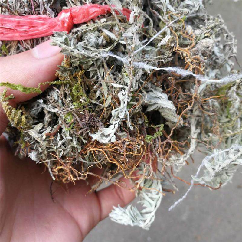 白毛鹿茸六月千年千年艾白头翁野生草药干品250克其他药食同源食品