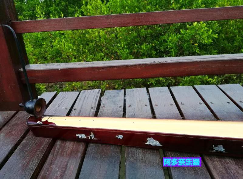 现货越南进口独弦琴单弦古筝民族乐器内置拾音器其它民族乐器