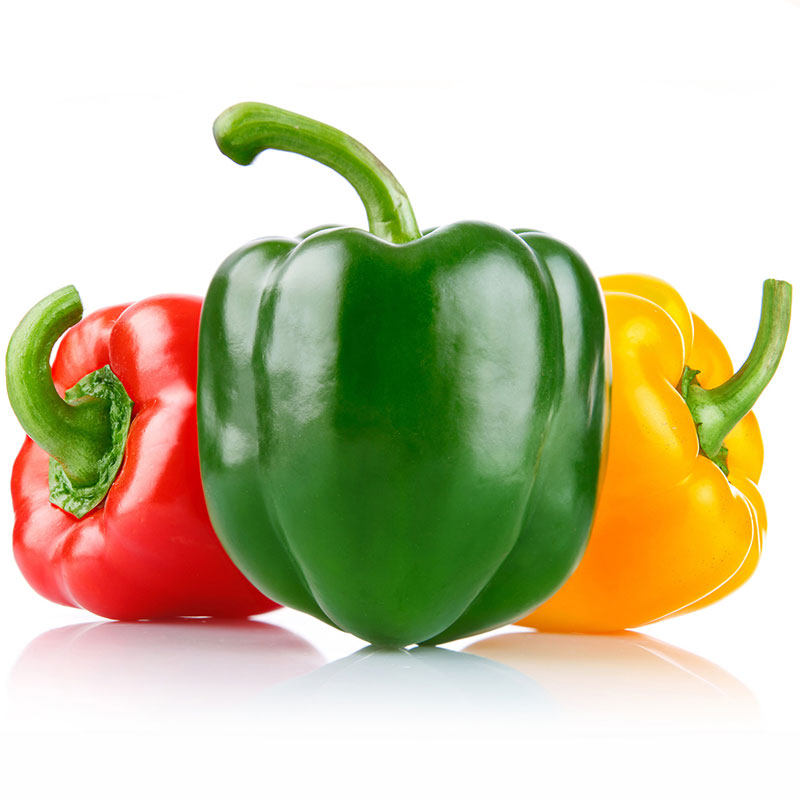 新鲜蔬菜红黄绿彩500g甜椒菜椒沙拉圆椒江浙沪其它