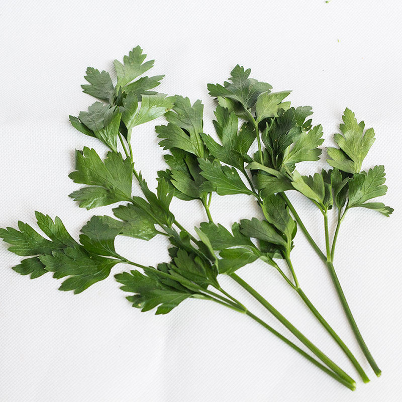 新鲜意大利平叶欧芹parsley西餐配菜香料沙拉凉拌其它