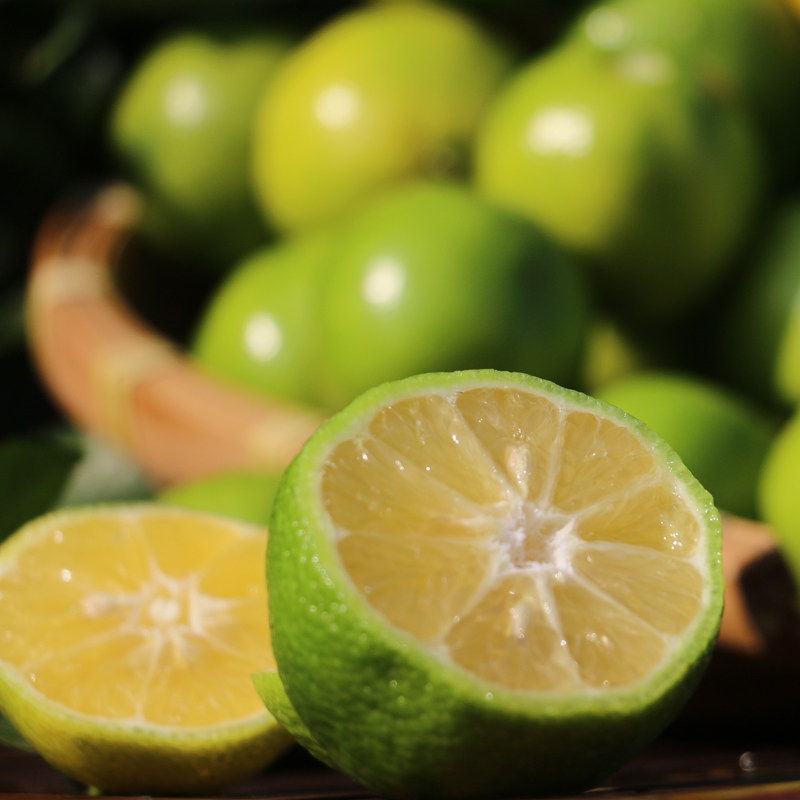 陈年柠檬400g祝家酱菜菜园老坛腌制咸盐港式柠檬