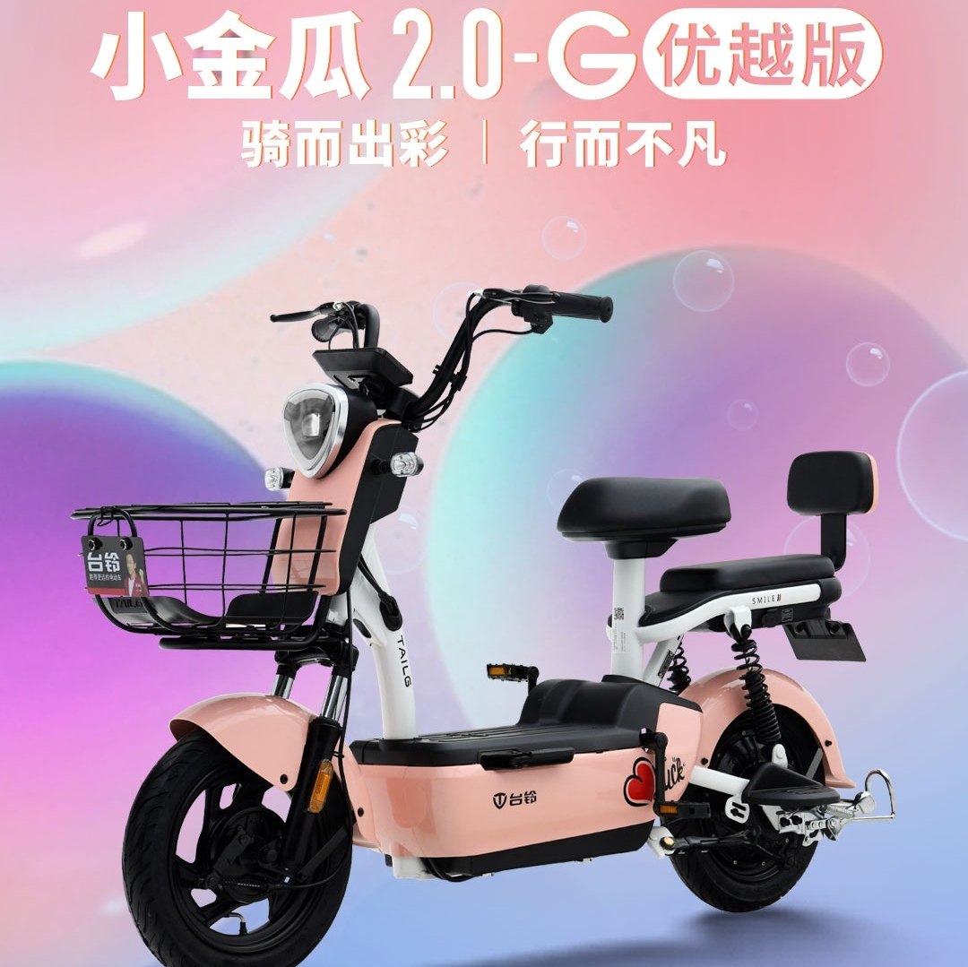 台铃48v脚踏代步自行车电动电瓶车新款国标新国标电动自行车