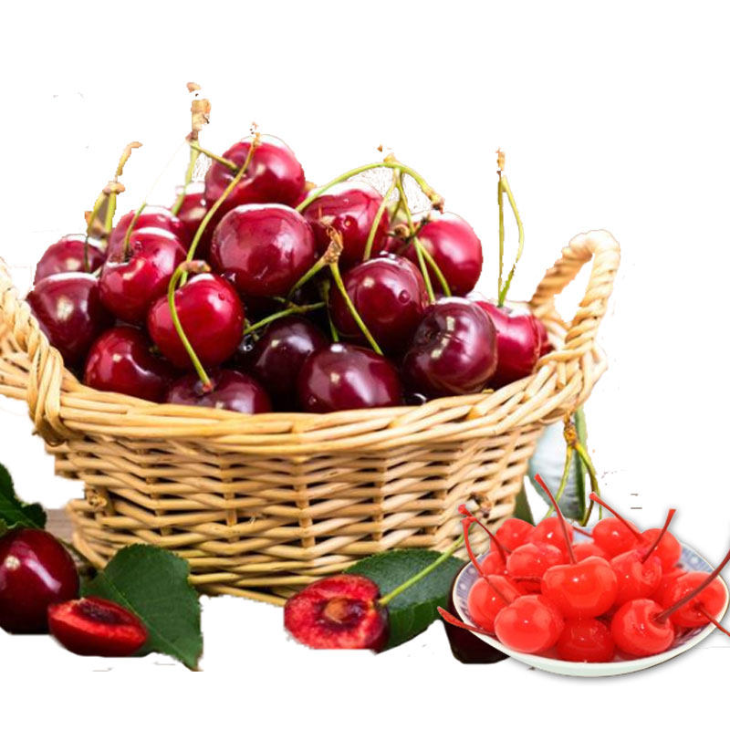 味林有枝红樱桃车厘子 樱桃罐头烘焙蛋糕甜品鸡尾酒点缀装饰 710g