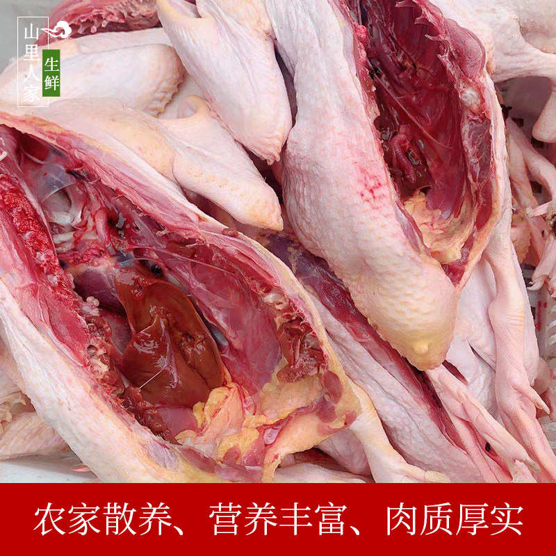 鸭子农家散养土鸭3斤当天现杀新鲜番鸭飞鸭鸭肉