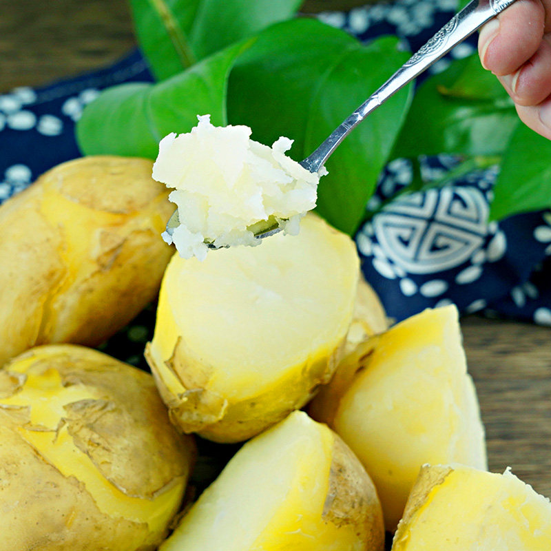 新鲜土豆贵州洋芋黄皮黄皮黄马铃薯蔬菜威宁农家土豆