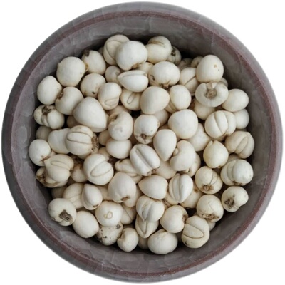 纯野生川贝母正宗特级米贝四川阿坝松贝100g中药尖贝精选无硫磨粉