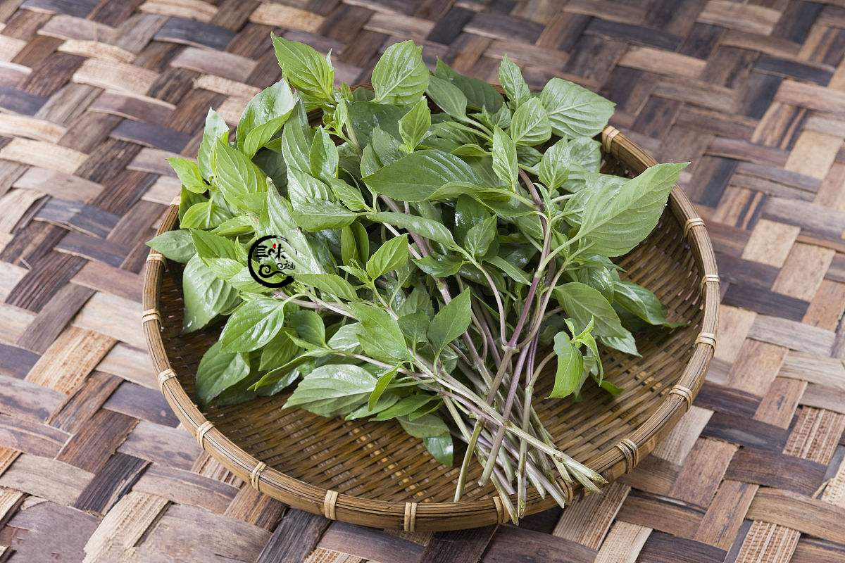 云南新鲜金芥地茭香叶泰国九层塔罗勒披萨金不换冬阴叶菜类