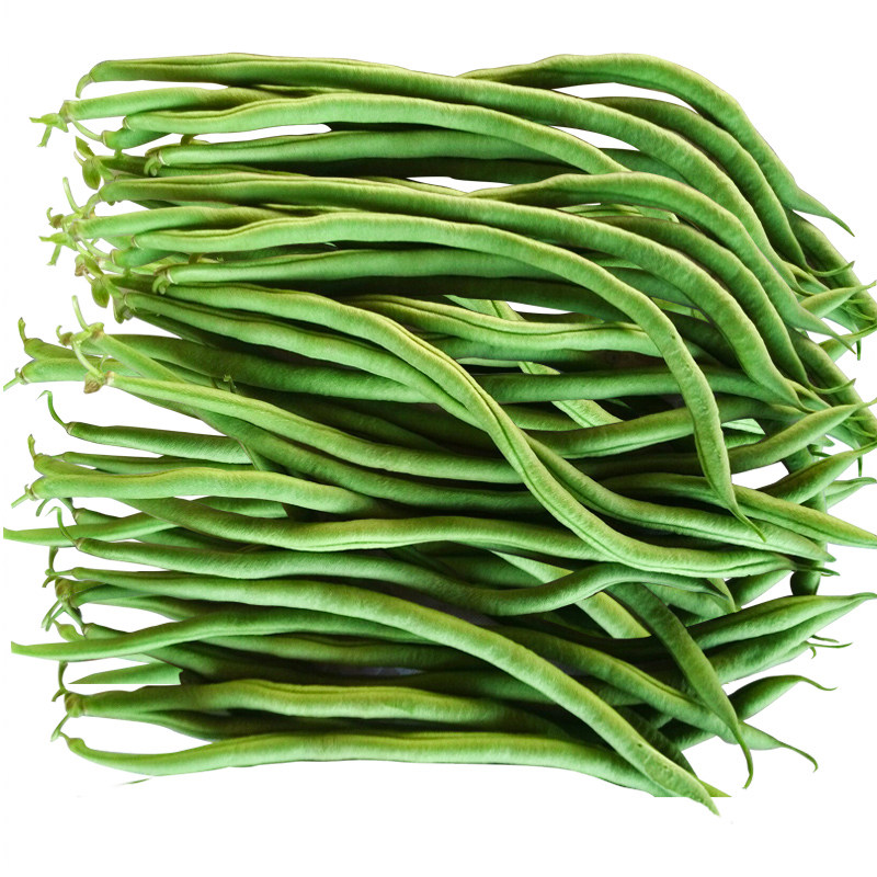 泰国无筋架豆王种子四季豆高产豆角九粒青芸豆春季秋季种籽蔬菜