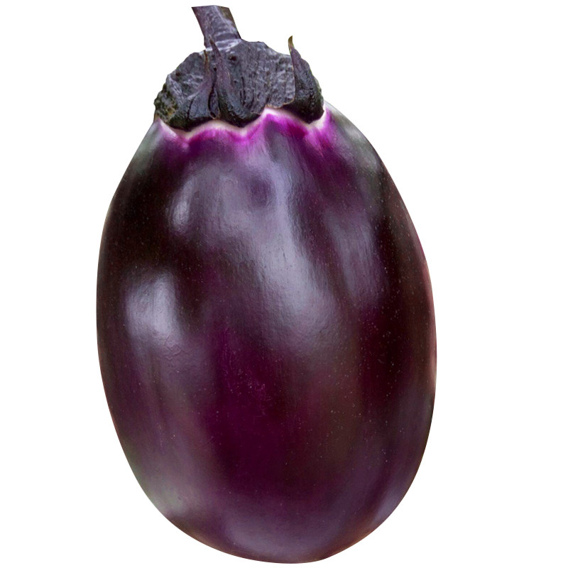 紫罐茄子种子特大牛心茄蔬菜种农家盆栽高产家庭园艺种子