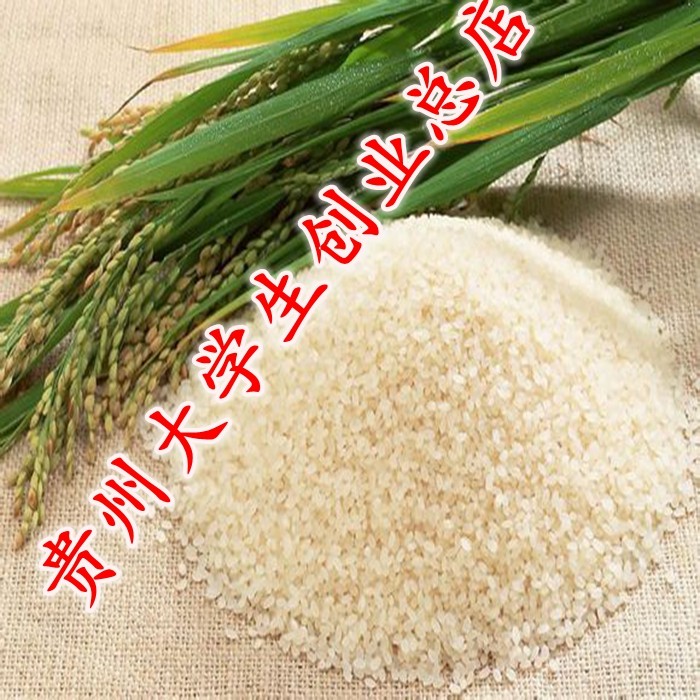 农家贵朝米桂朝米潮糙米贵州米粉米线凉虾米豆腐专用大米6斤装