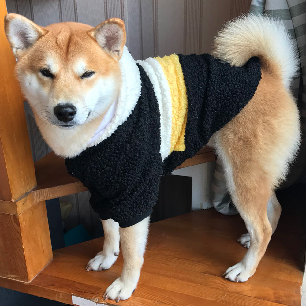 柴犬衣服阿拉斯加边牧秋田中型犬大型犬金毛拉布拉多狗狗秋装冬装