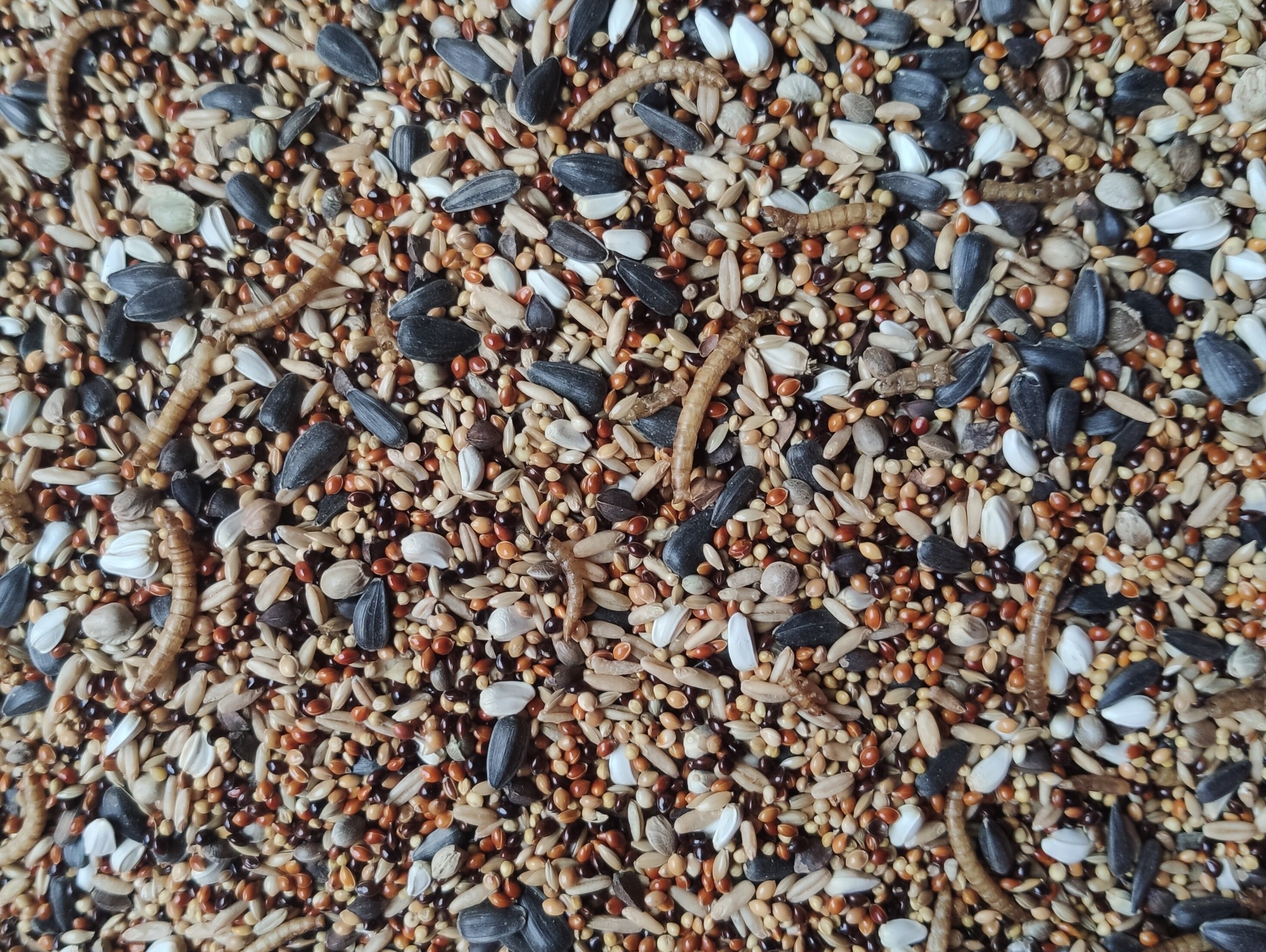 中小型混合鸟食饲料太阳玄凤牡丹虎皮皮带小米鸟食