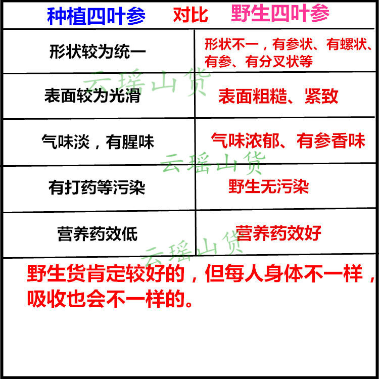 羊乳500克生货现卖现挖下奶奶参野生新鲜山四叶其他药食同源食品