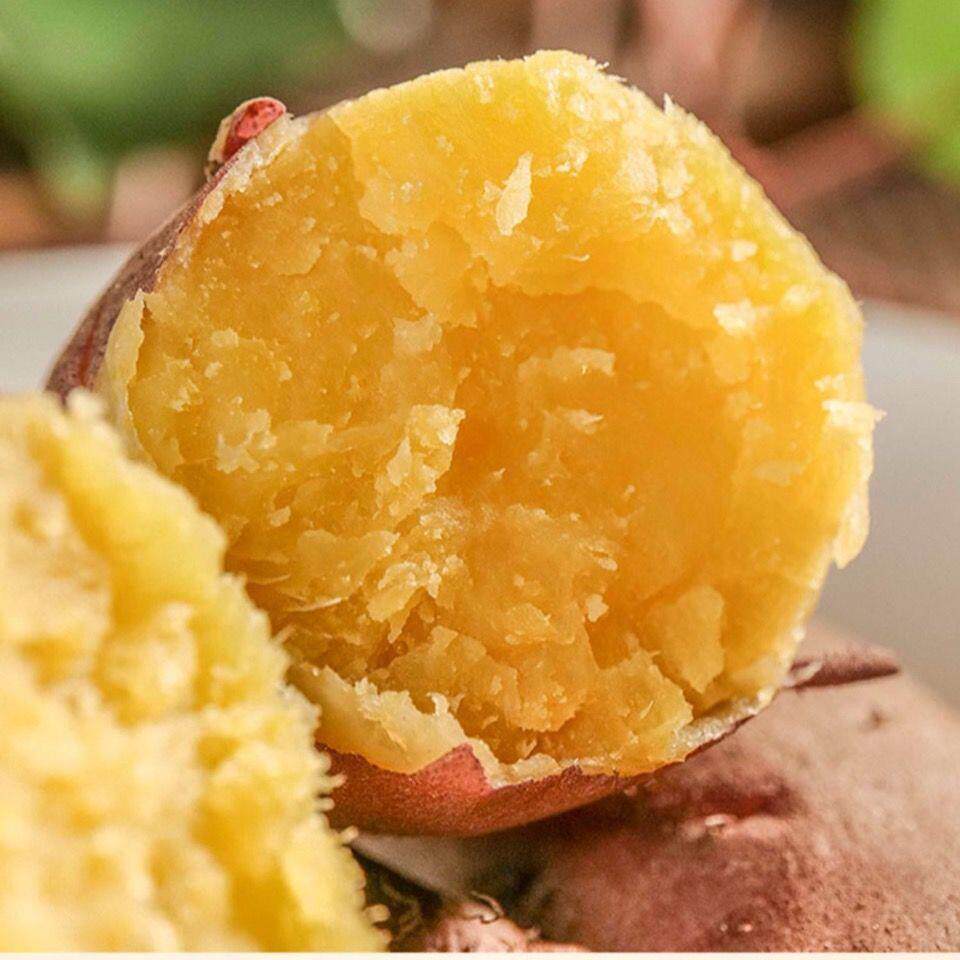 新鲜现挖白皮板栗薯超糖心黄心红薯黄瓤地瓜番薯