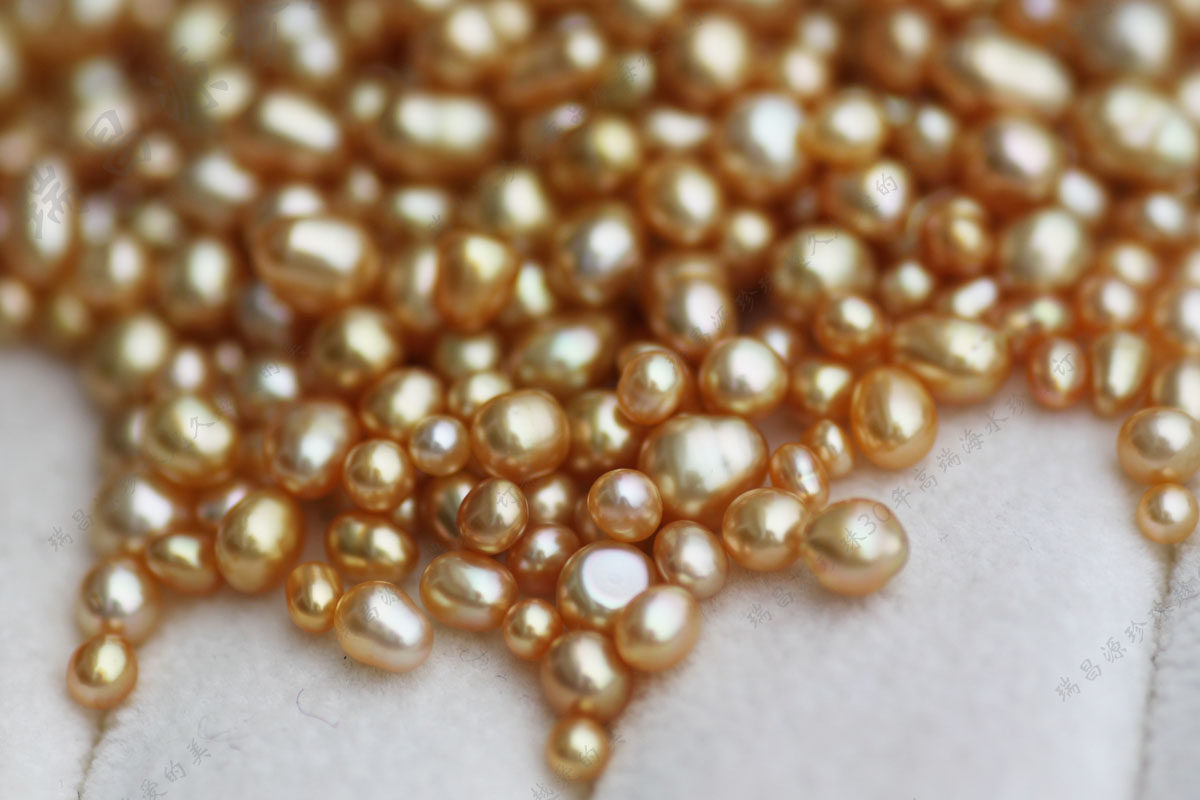 合浦珍珠不开蚌取珍珠直播间南洋金珠海水珍珠项链裸珠耳环吊坠女