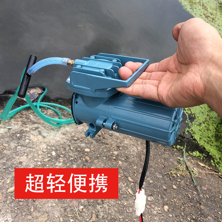 小型接电瓶12v打氧机车载增氧气泵直流大功率充氧卖养